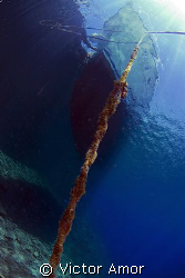 A chain to the sky by Victor Amor 